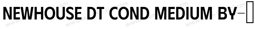 Newhouse DT Cond Medium by字体转换
